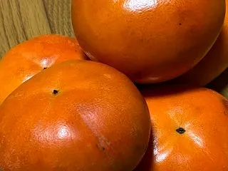 令和8.10.20. 奈良公園・鶏活・市…