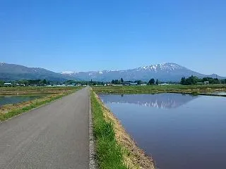 大晦日は臨時チェックイン時間です