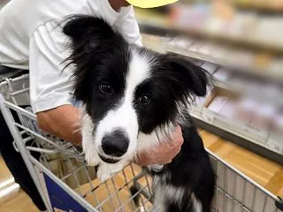 どちらかというとブライアンに似ているかも…