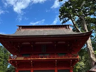 思想は強めです