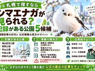 札幌でシマエナガを探すなら｜記録のある5…