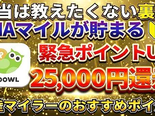【超高ポイント】陸マイラー祭りで一撃25…