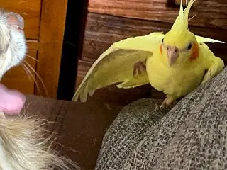 移動？？？
