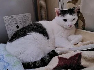 おにゅぅ～の眼鏡(^0_0^)