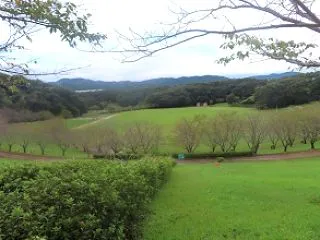 都田総合公園の新設遊具をウォッチングして…