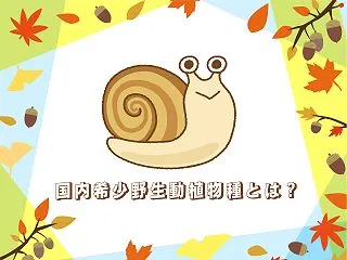 国内希少野生動植物種とは？ なぜ、生き物…