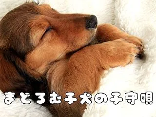 まどろむ子犬のララバイ（子守唄）｜すやす…