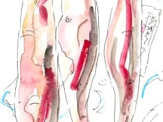 さつまいも、異変か?