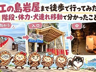 江の島岩屋まで徒歩で行ってみた｜階段・体…