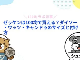 ゼッケンは100均で買える？ダイソー・ワ…