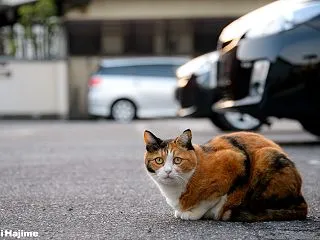 夕暮れ時の駐車場に