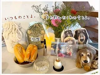 千葉旅行ダイジェスト