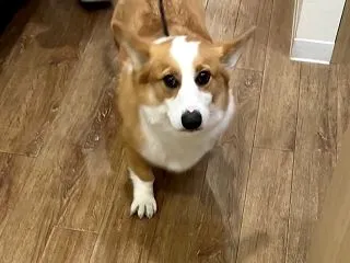 お泊まり終了