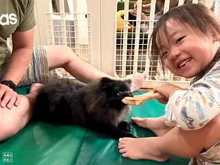 兄になりたい小倅と、兄と認めない真熊