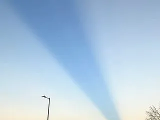 なんと、メキシコでまさかの就職