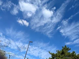 無線も散歩も秋を求めて。