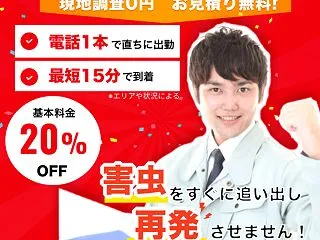 ゴキブリの卵を見つけたらどうする？回収・…