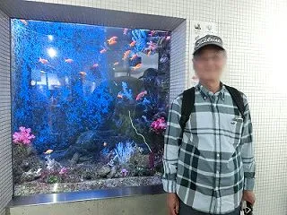 東京の海。