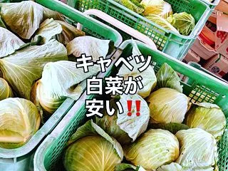 キャベツ・白菜