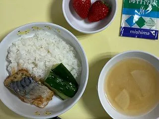 給食試食会