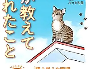 タイトルに「猫」が入っている曲５選