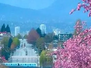 10特殊血液検査）わたしの健康度/10点…