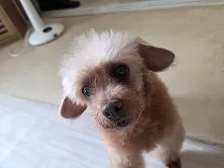 お久しぶりのヨウちゃん 元気です！