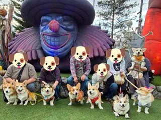 次の待ち合わせは大人ハロウィン🎃