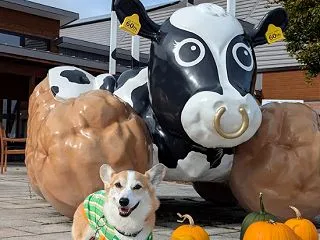 北の大地より ただいま～！