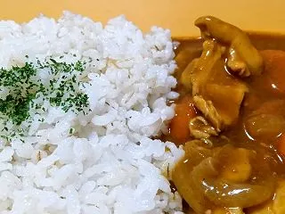 #2275 鶏皮カレーライス