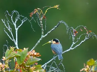 「食欲の秋」 小村 明彦