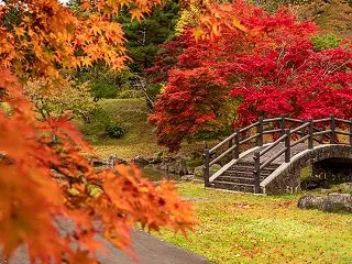 ”ダム公園の紅葉”