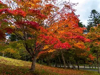 ダム公園へ行ってきました