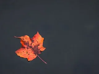 ひとりひと宇宙