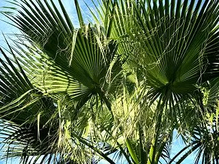 秋の...春一番？(+Mov.)