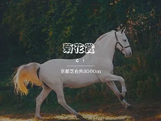 菊花賞2026予想｜京都3000mで最後…