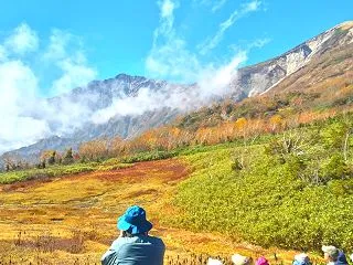 長野県／栂池（つがいけ）自然園☆④展望湿…