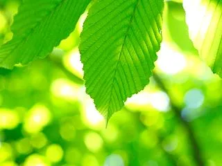 【夫の留守中に気づいた夫婦のかたち。意外…