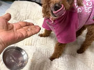 今夜のクリニック😄💕💕