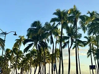 長寿