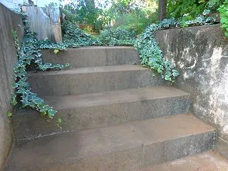 消して見ろ！