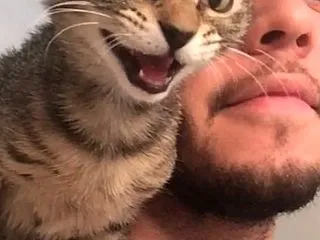 「猫と近くにいる時間が長い飼い主ほど気分…