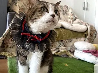 昨日の札幌中島公園と、６年前の未完の原稿…