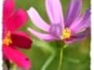 どこも緊急メンテナンス