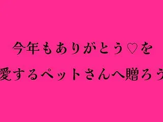 今年もありがとう♡を愛するペットさんへ贈…