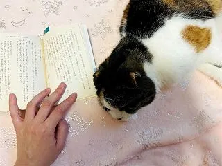 今日はマイちゃん！【今日の一枚」