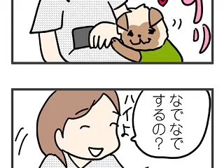 こぉちゃんが好きなもの