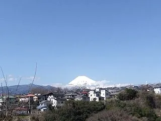 大切なことなので…⓹