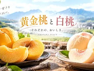 黄金桃と白桃の違い7つ｜色や味わいから旬…