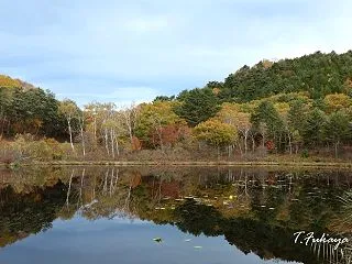 志賀高原 一沼とその周辺の紅葉